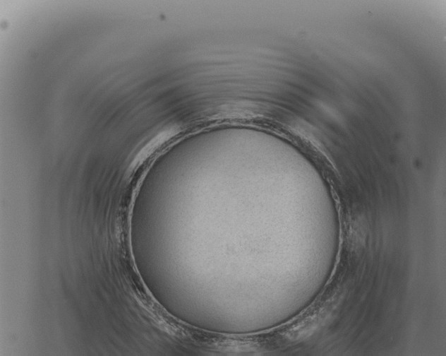 X0000063490874200601271717