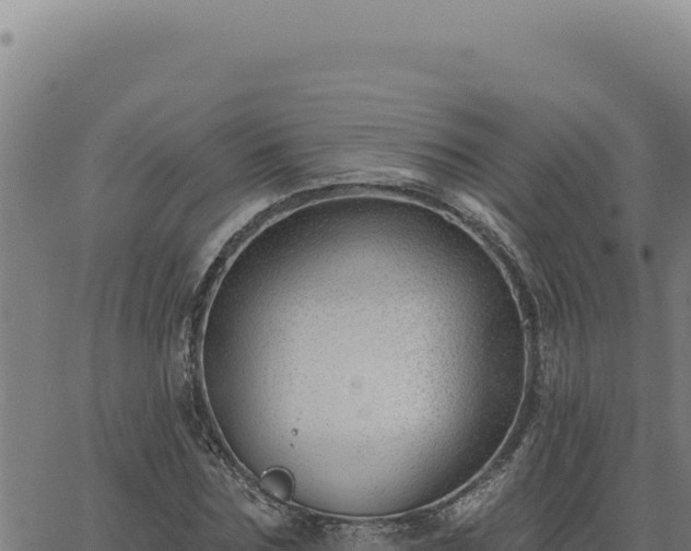 X0000063490875200601271717