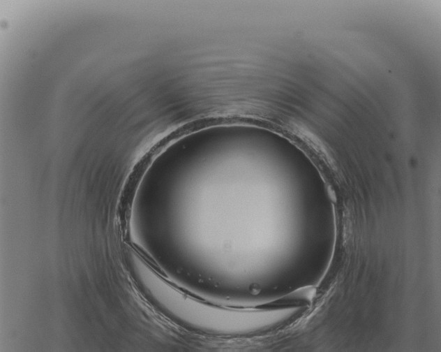 X0000063490876200601271717