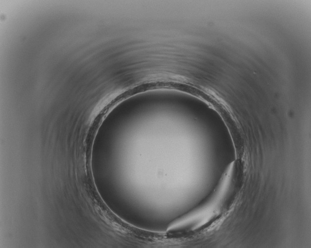 X0000063490877200601271717