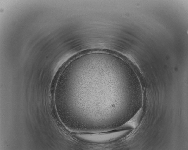 X0000063490879200601271717