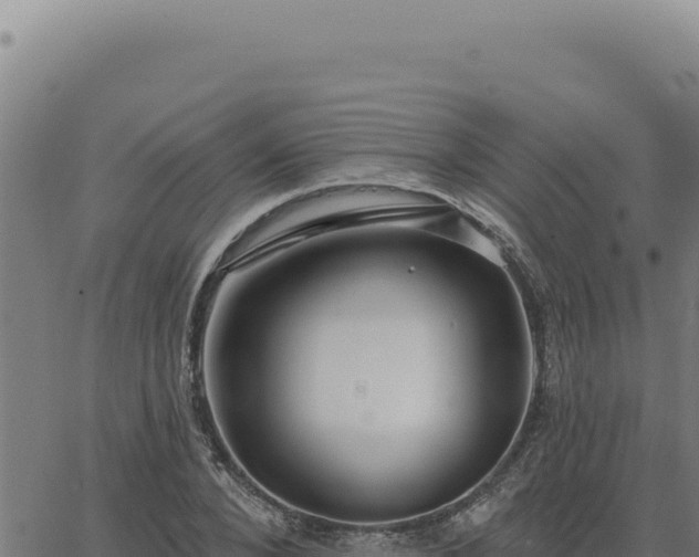 X0000063490880200601271717