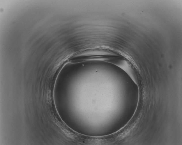 X0000063490881200601271717