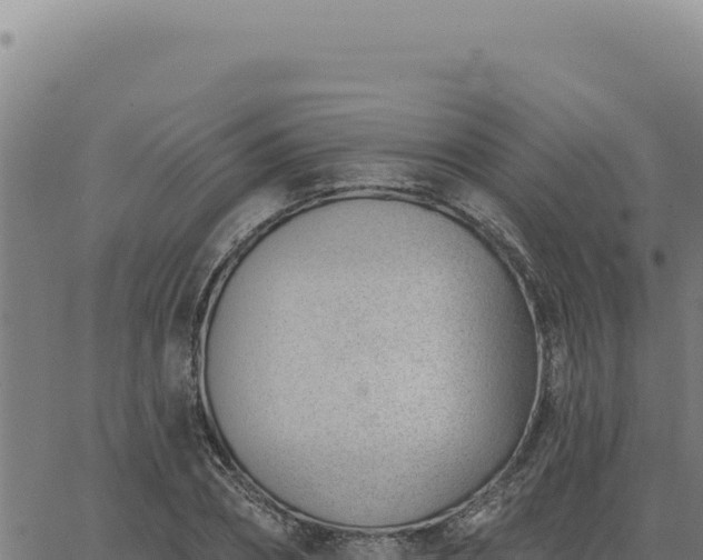 X0000063490882200601271717