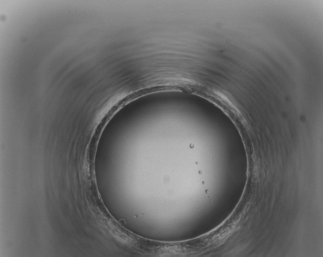 X0000063490883200601271717