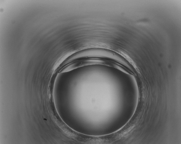 X0000063490885200601271717