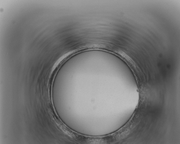 X0000063490886200601271717