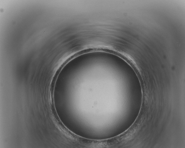 X0000063490887200601271717