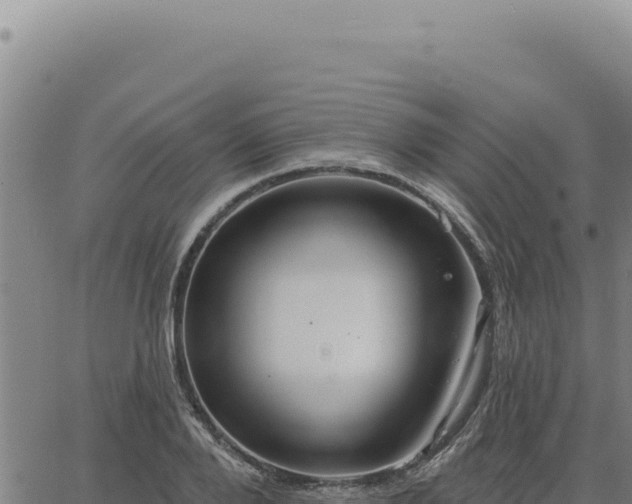 X0000063490888200601271717