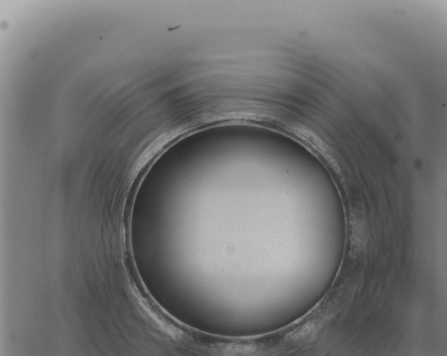 X0000063490890200601271717