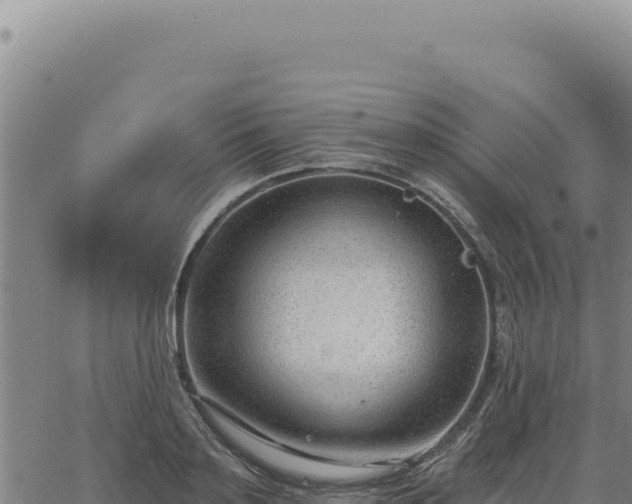 X0000063490891200601271717