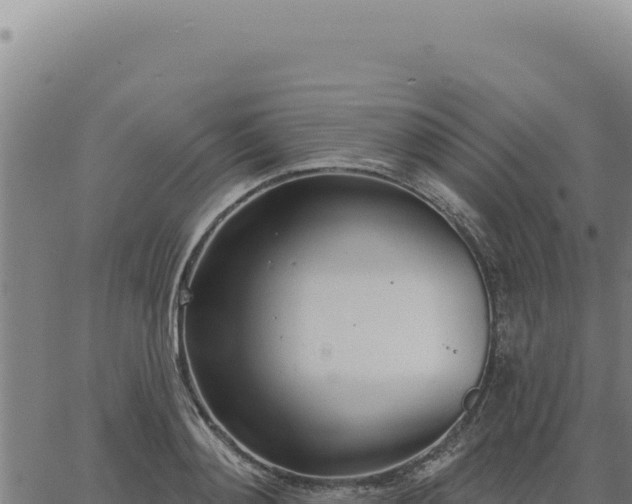 X0000063490892200601271717