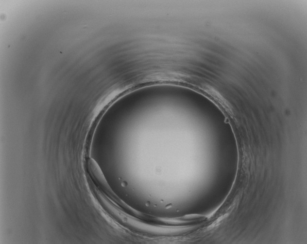 X0000063490893200601271717