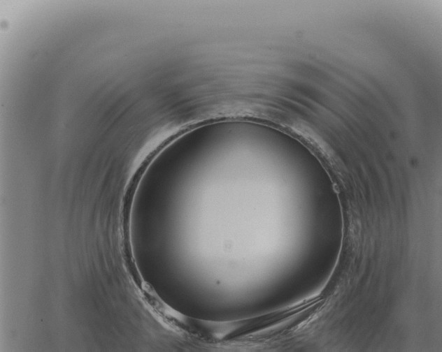 X0000063490894200601271717