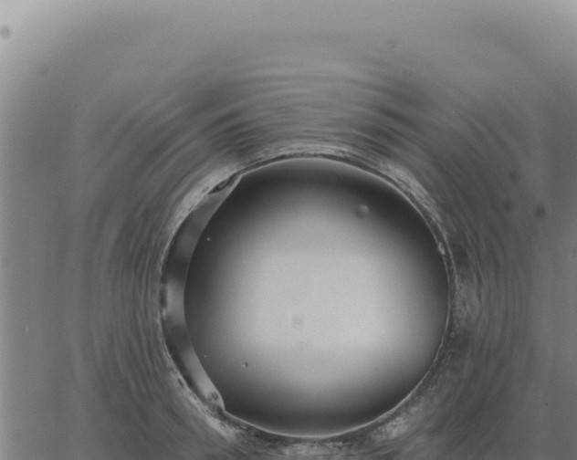 X0000063490898200601271717