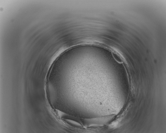 X0000063490899200601271717