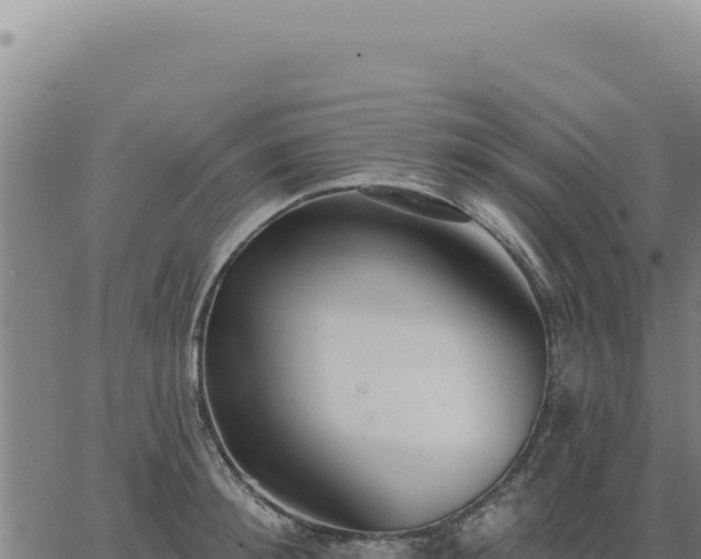 X0000063490900200601271717