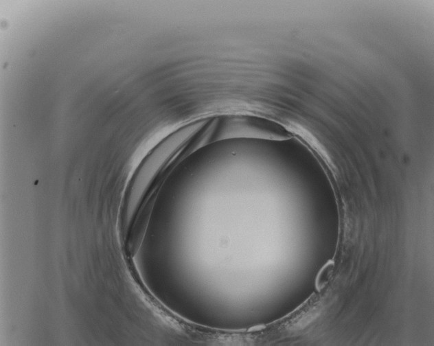 X0000063490901200601271717