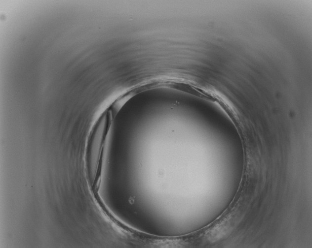 X0000063490902200601271717