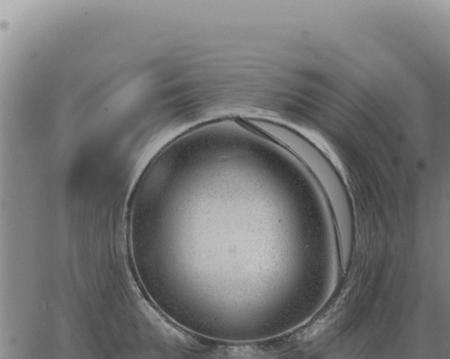 X0000063490903200601271717