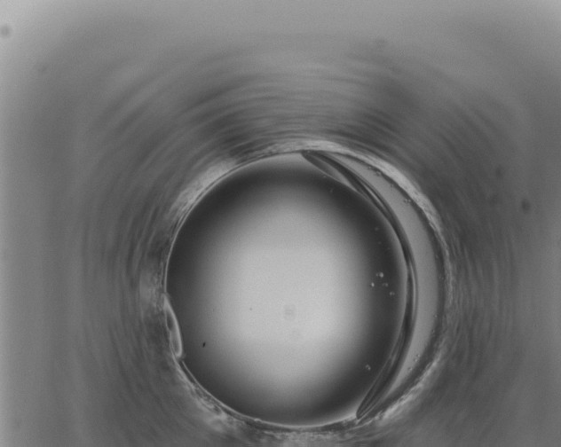 X0000063490905200601271717