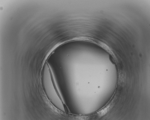 X0000063490908200601271717