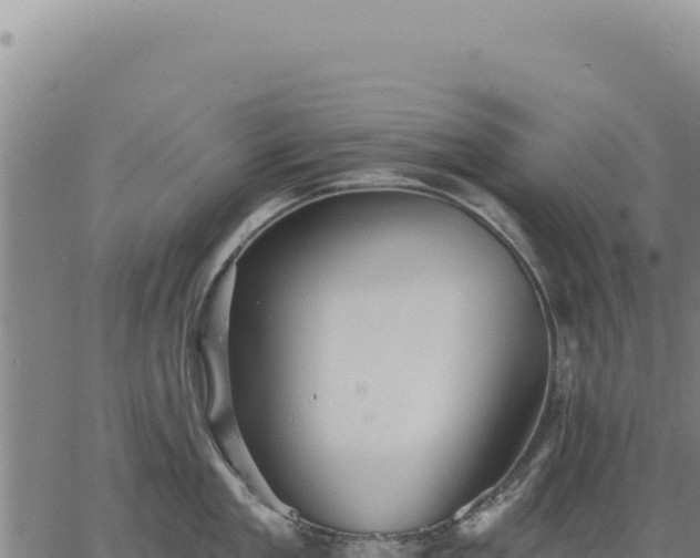 X0000063490909200601271717