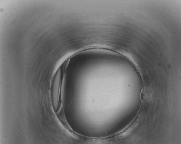 X0000063490910200601271717