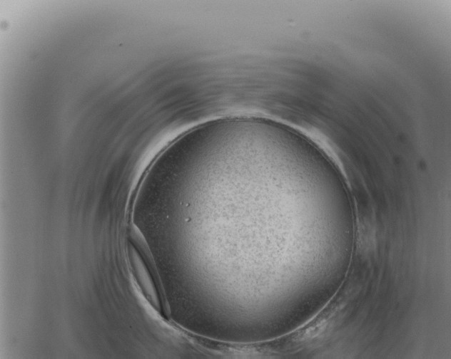 X0000063490911200601271717