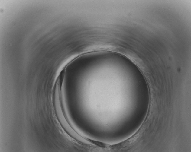 X0000063490912200601271717