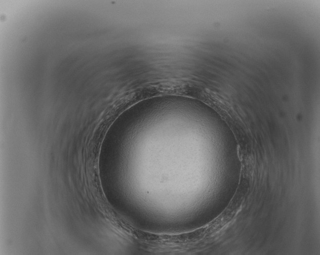 X0000063490913200601271716