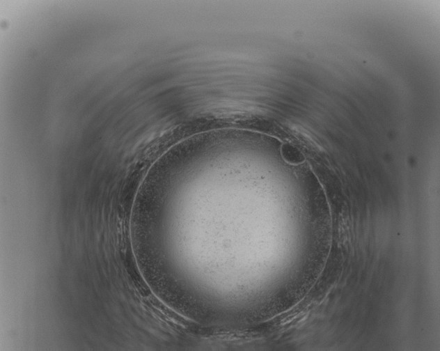 X0000063490917200601271716