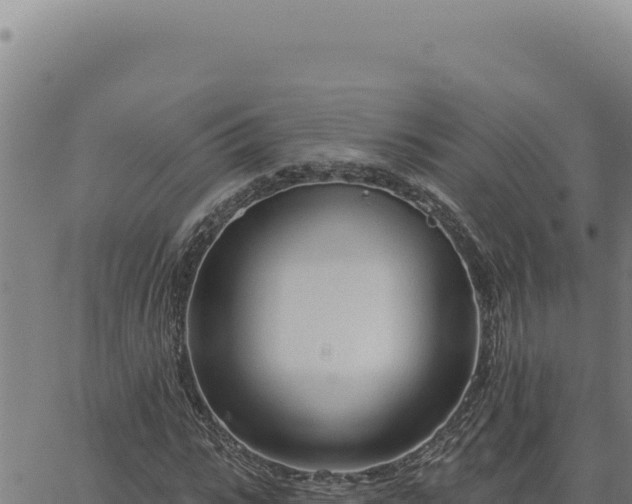 X0000063490919200601271716