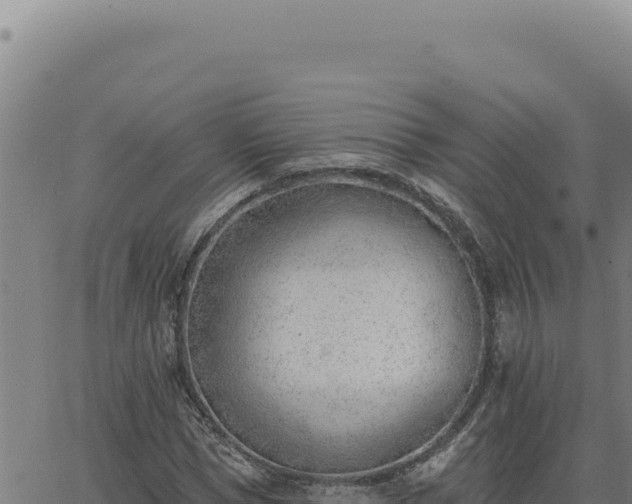 X0000063490921200601271716