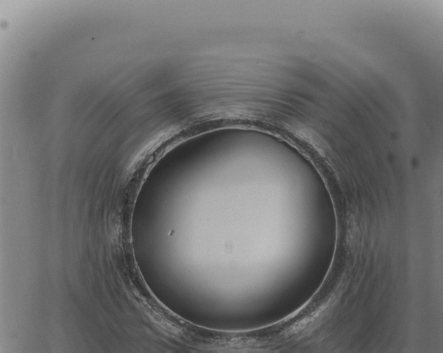 X0000063490922200601271716