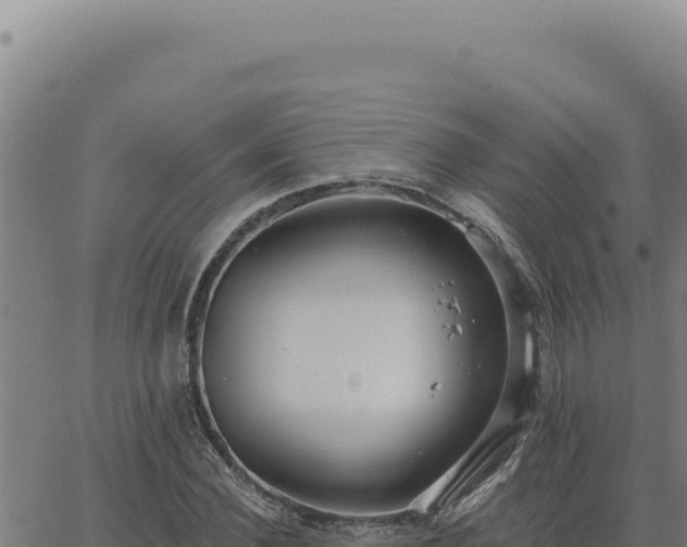 X0000063490924200601271716