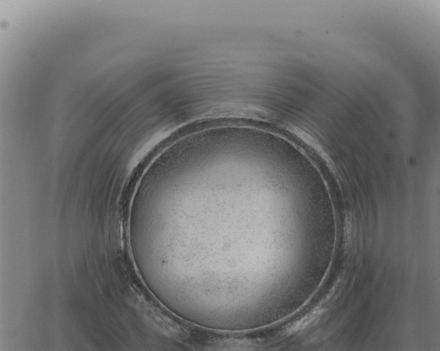 X0000063490925200601271716