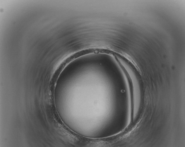 X0000063490926200601271716