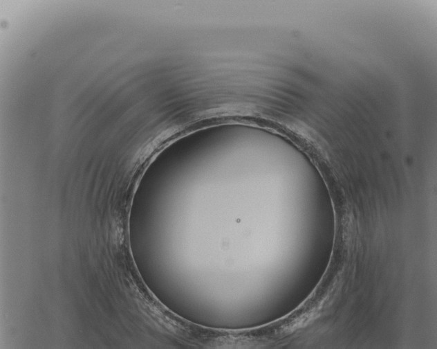 X0000063490929200601271716