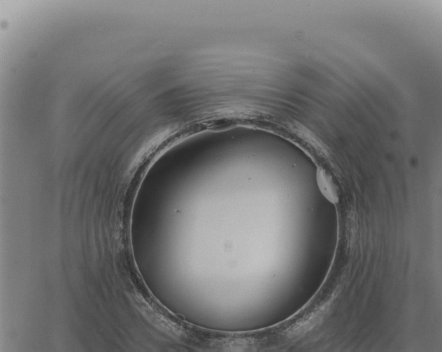 X0000063490930200601271716