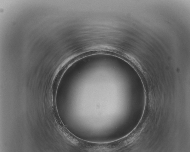 X0000063490931200601271716