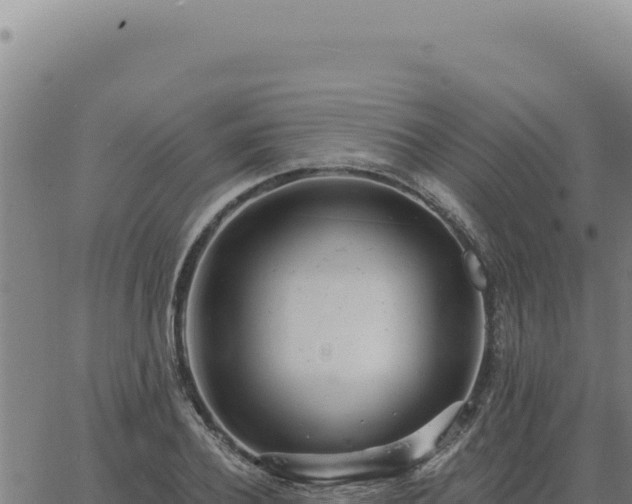 X0000063490932200601271716