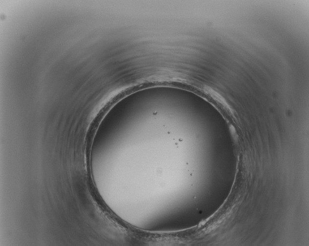 X0000063490934200601271716