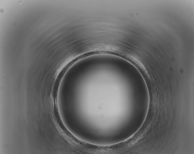 X0000063490936200601271716