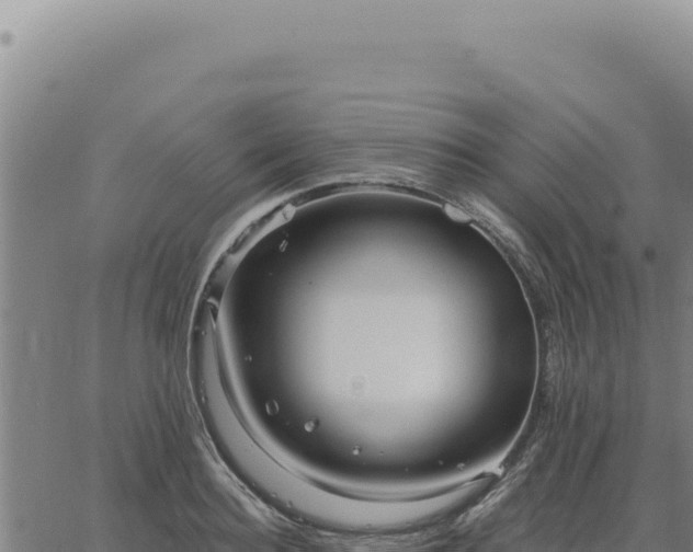 X0000063490940200601271716