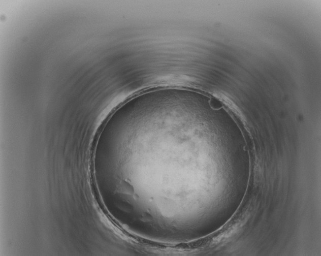 X0000063490941200601271716