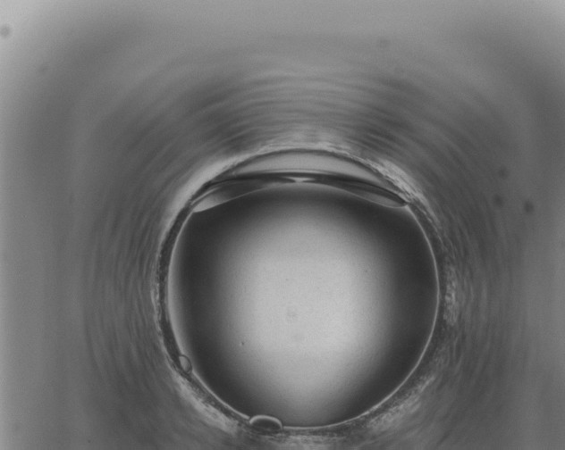 X0000063490942200601271716