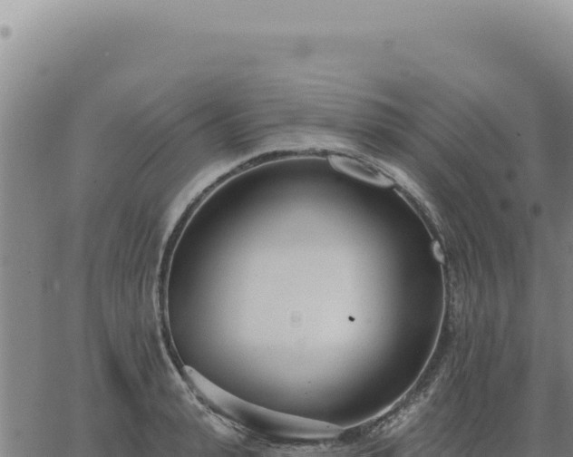 X0000063490943200601271716