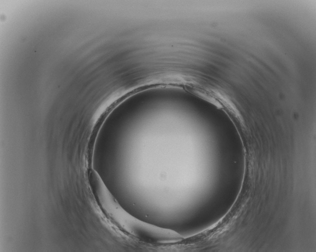 X0000063490944200601271716