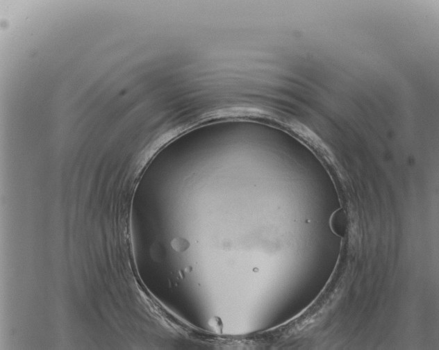 X0000063490945200601271716